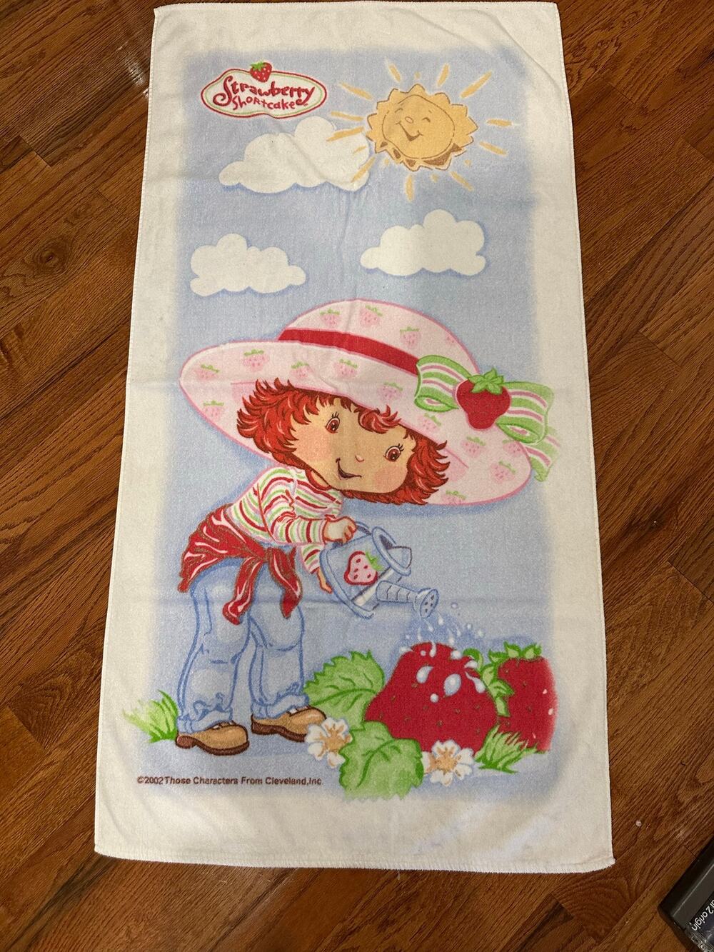 Vintage Franco Strawberry Shortcake Beach Pool Towel